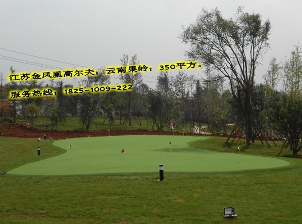 果岭34.jpg