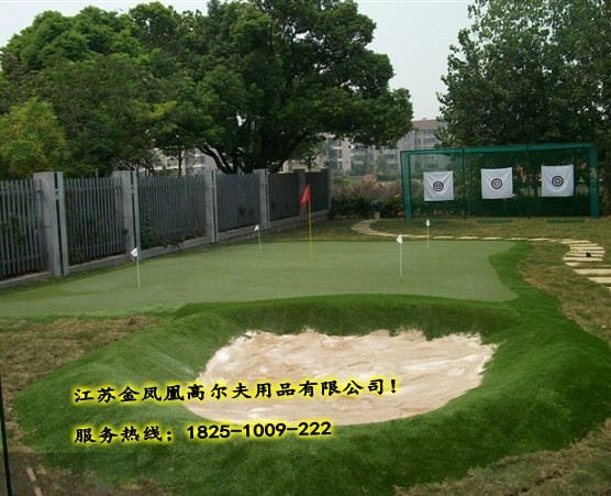 挥杆网8.jpg
